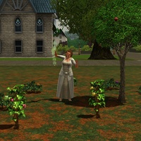 sims 3 dragon valley